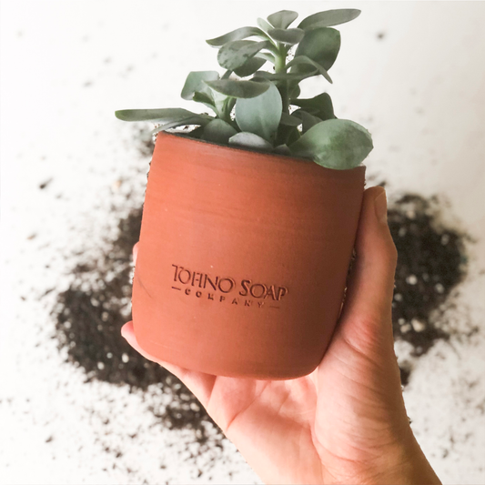 Our seasonal Terra Cotta Candle makes a great planter pot!