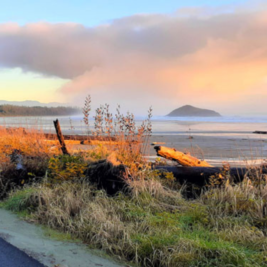 Breathtaking Vancouver Island Drives