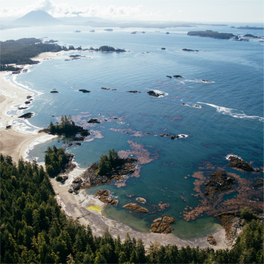 Some of our favourite beaches around Tofino and Ucluelet