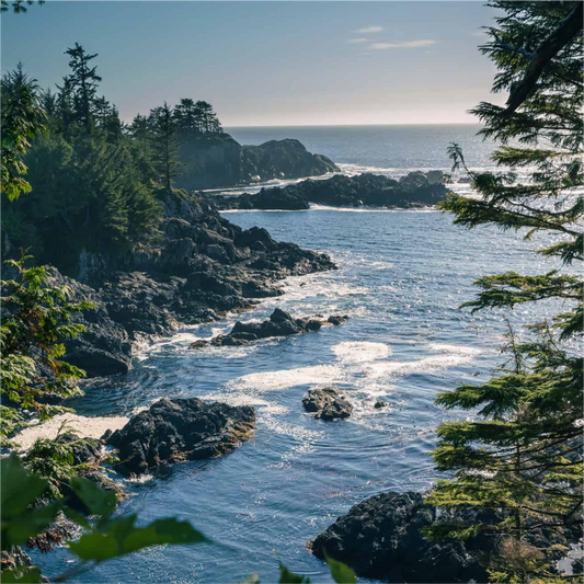 Hiking Trails Around Tofino & Ucluelet