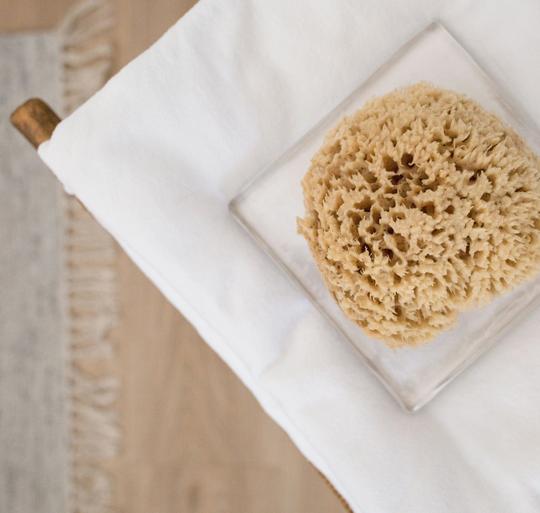 organic sea sponges