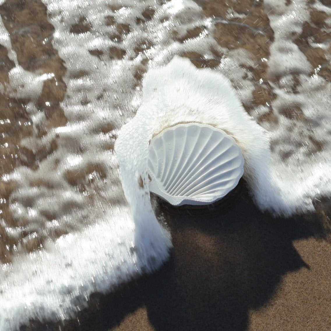seashell soap dish canada