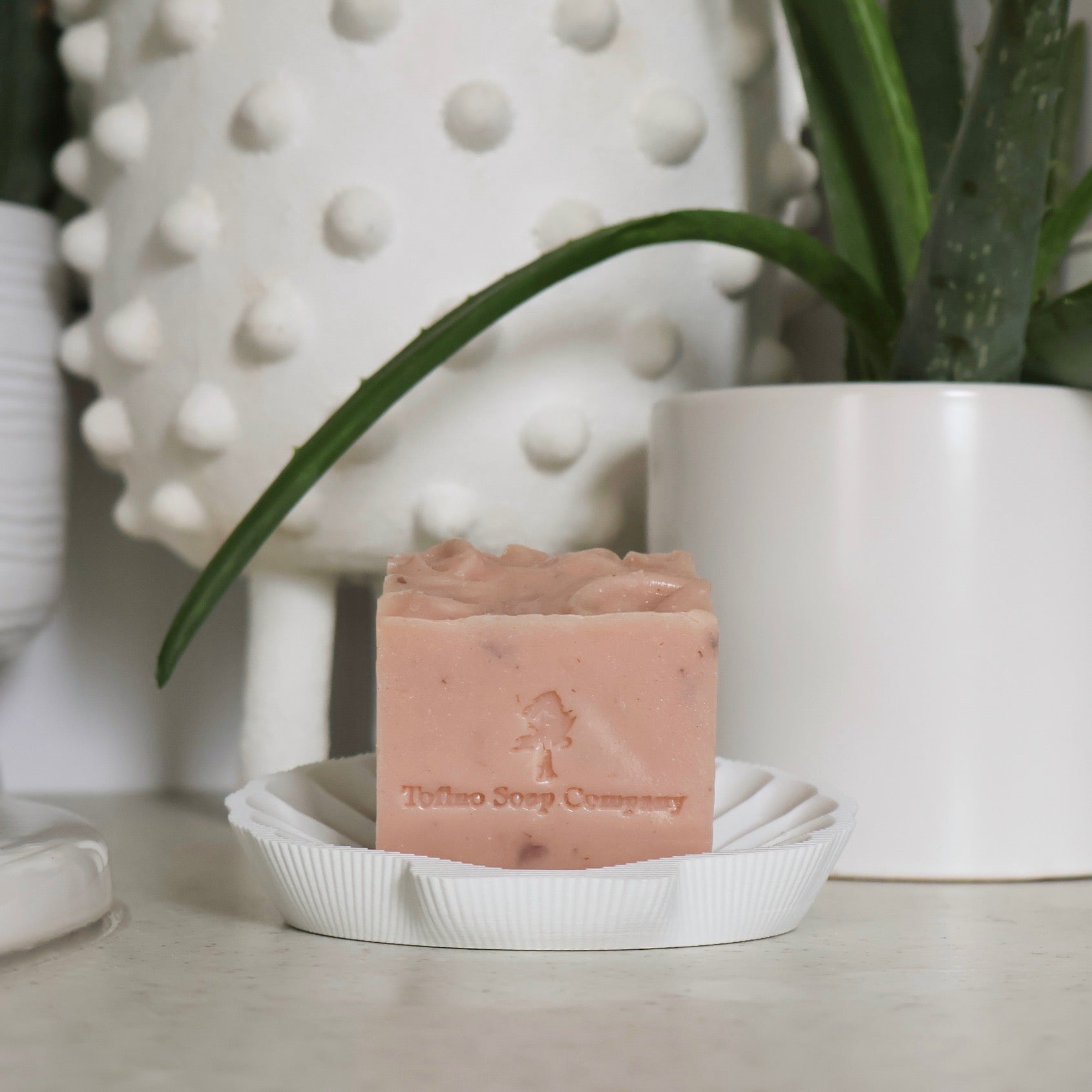 Tofino shell soap dish