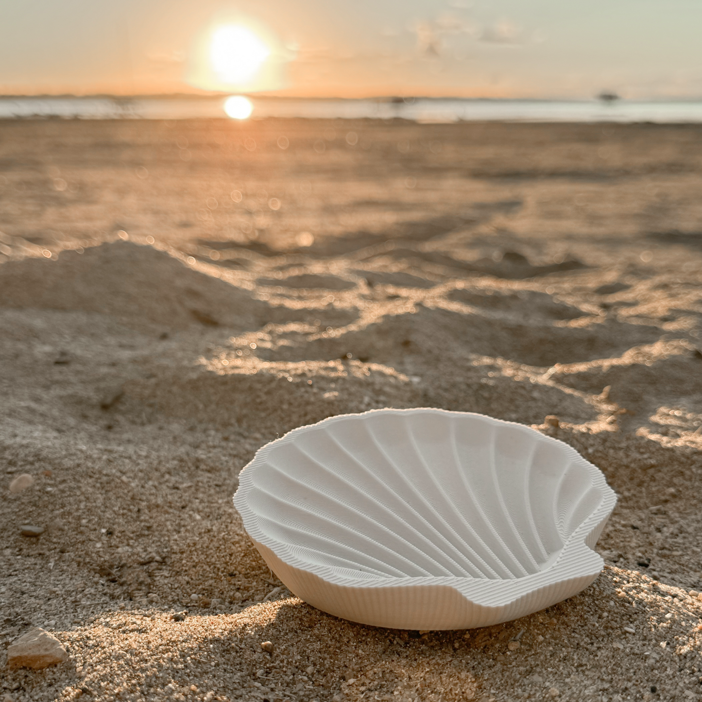 Tofino shell soap dish