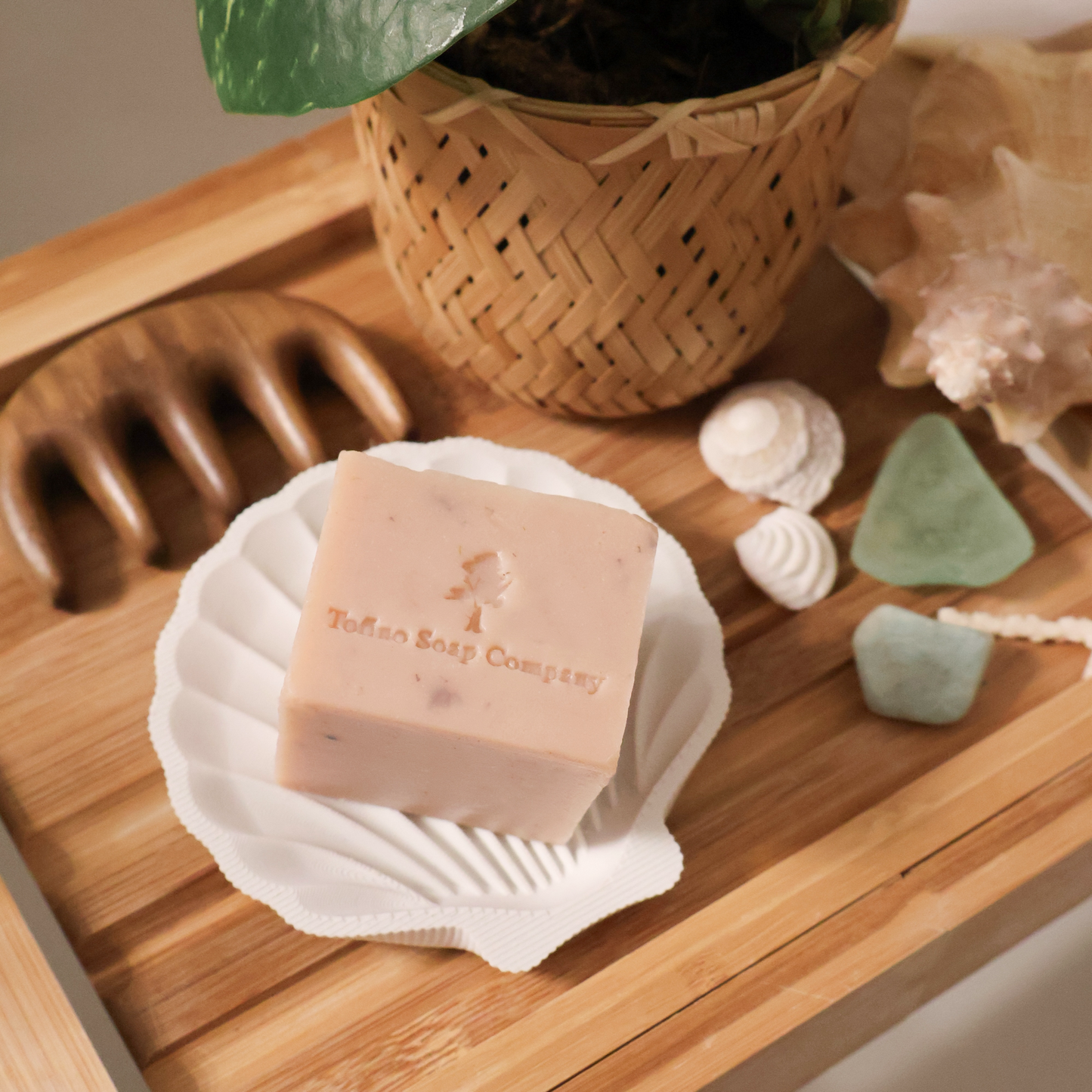 tofino shell soap dish