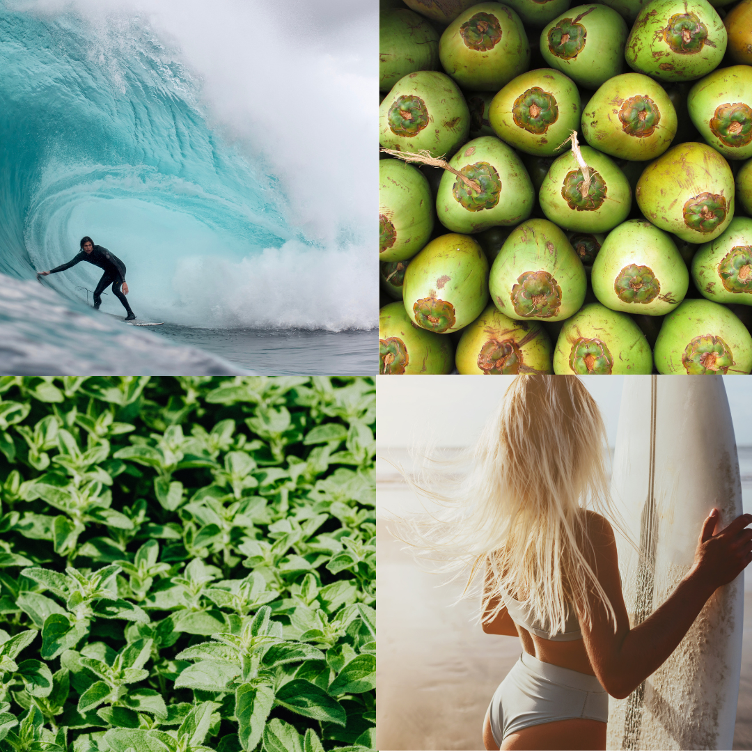 Surfer Collection Natural Skincare Tofino