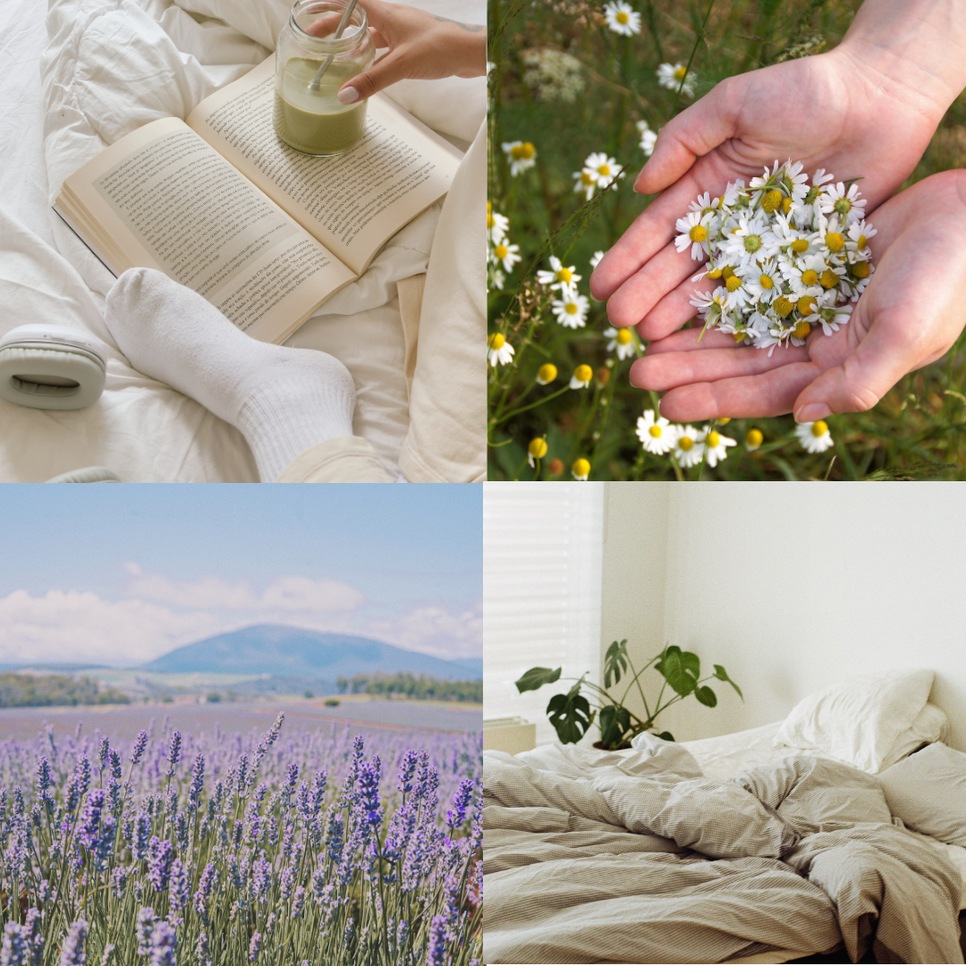 lavender candle tofino