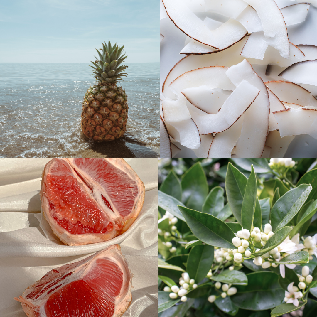 beach scented tofino candle