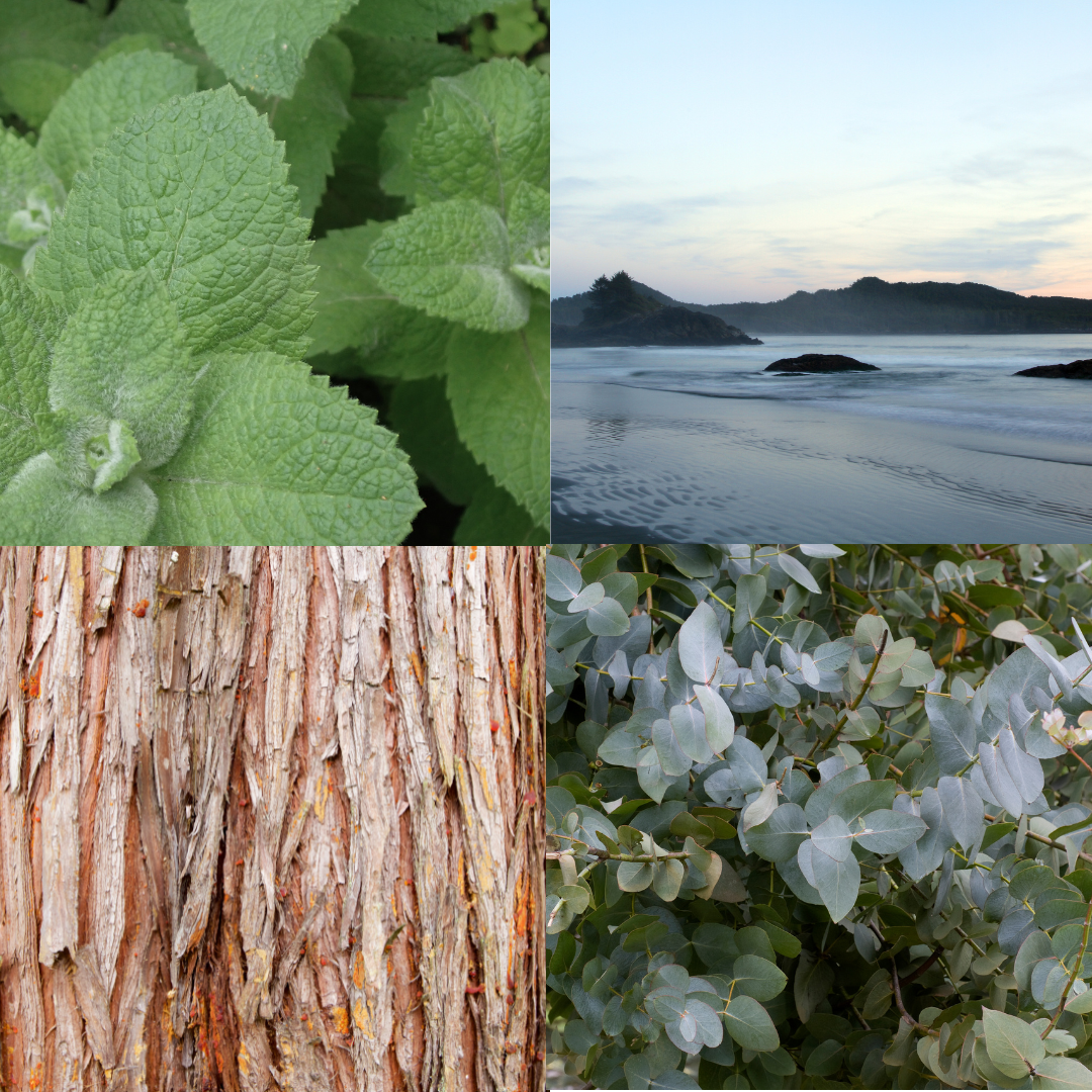 Tofino Candle - Coast