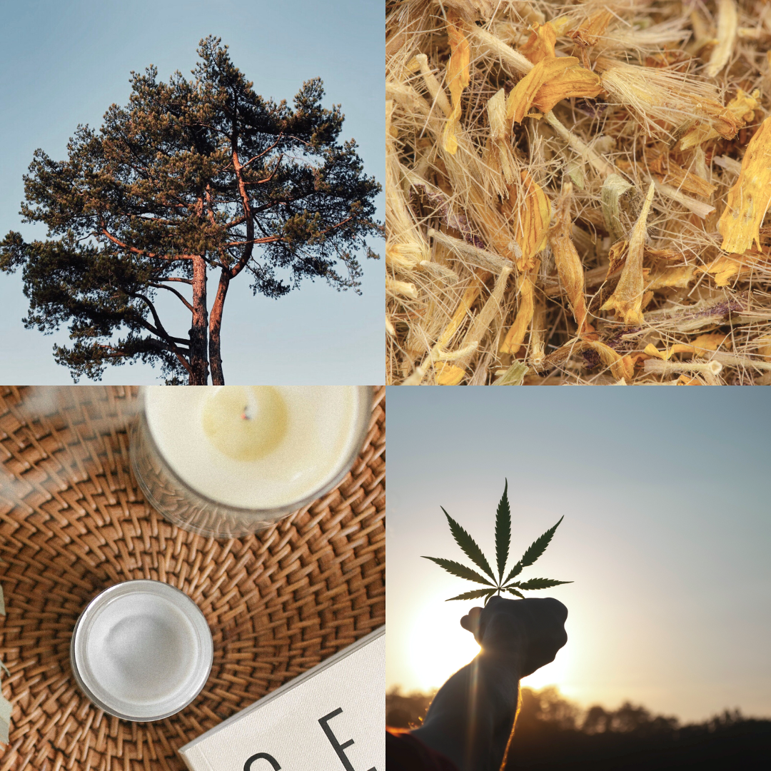 Tofino Soap Company handcrafted natural body products made with Vancouver Island botanicals since 2010