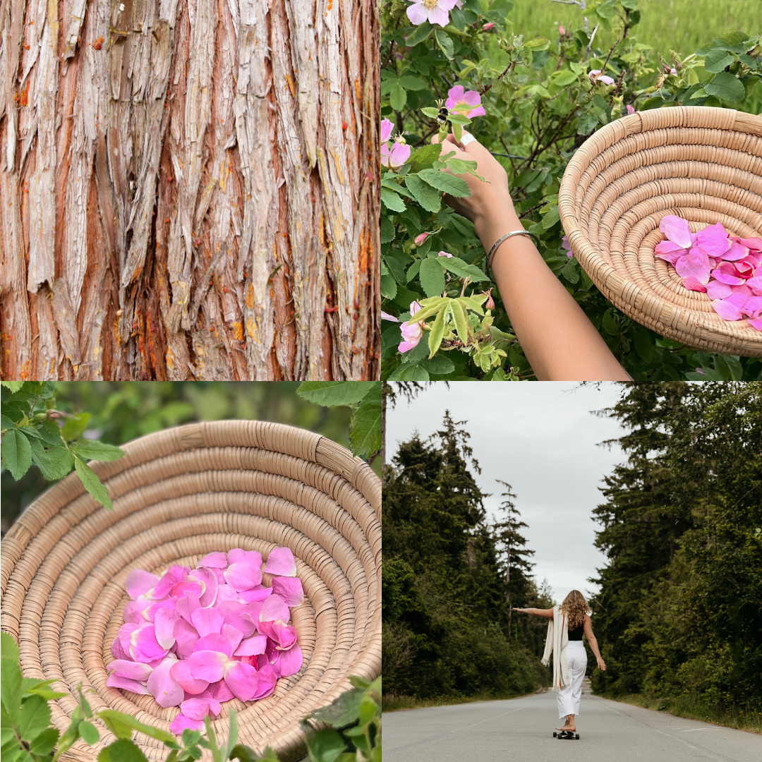 Tofino Soap Company natural perfumes, candles and skincare crafted with wild-foraged island botanicals