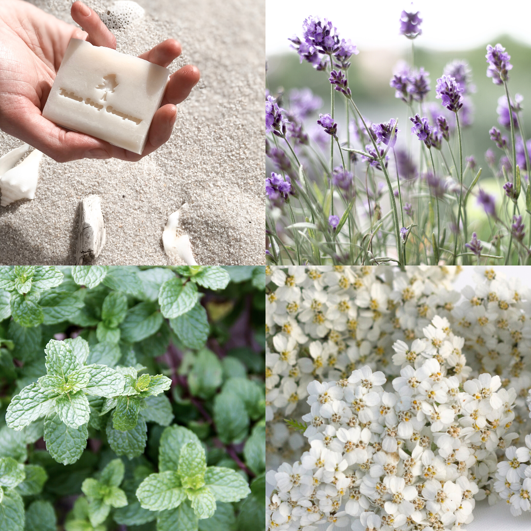 Sustainable luxury skincare and candles by Tofino Soap Company, original Vancouver Island soap artisan