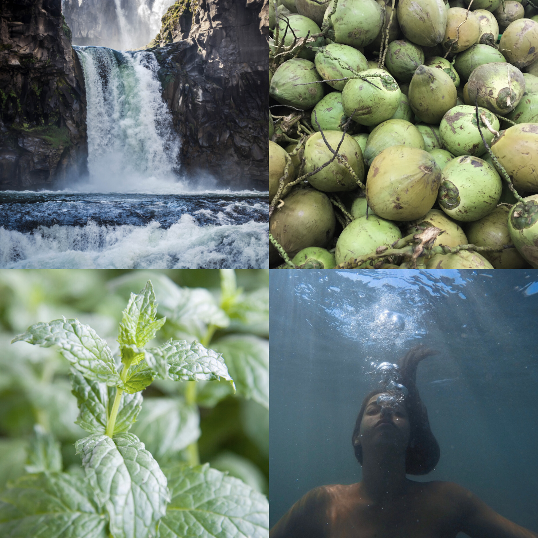 Spearmint and coconut candle scent