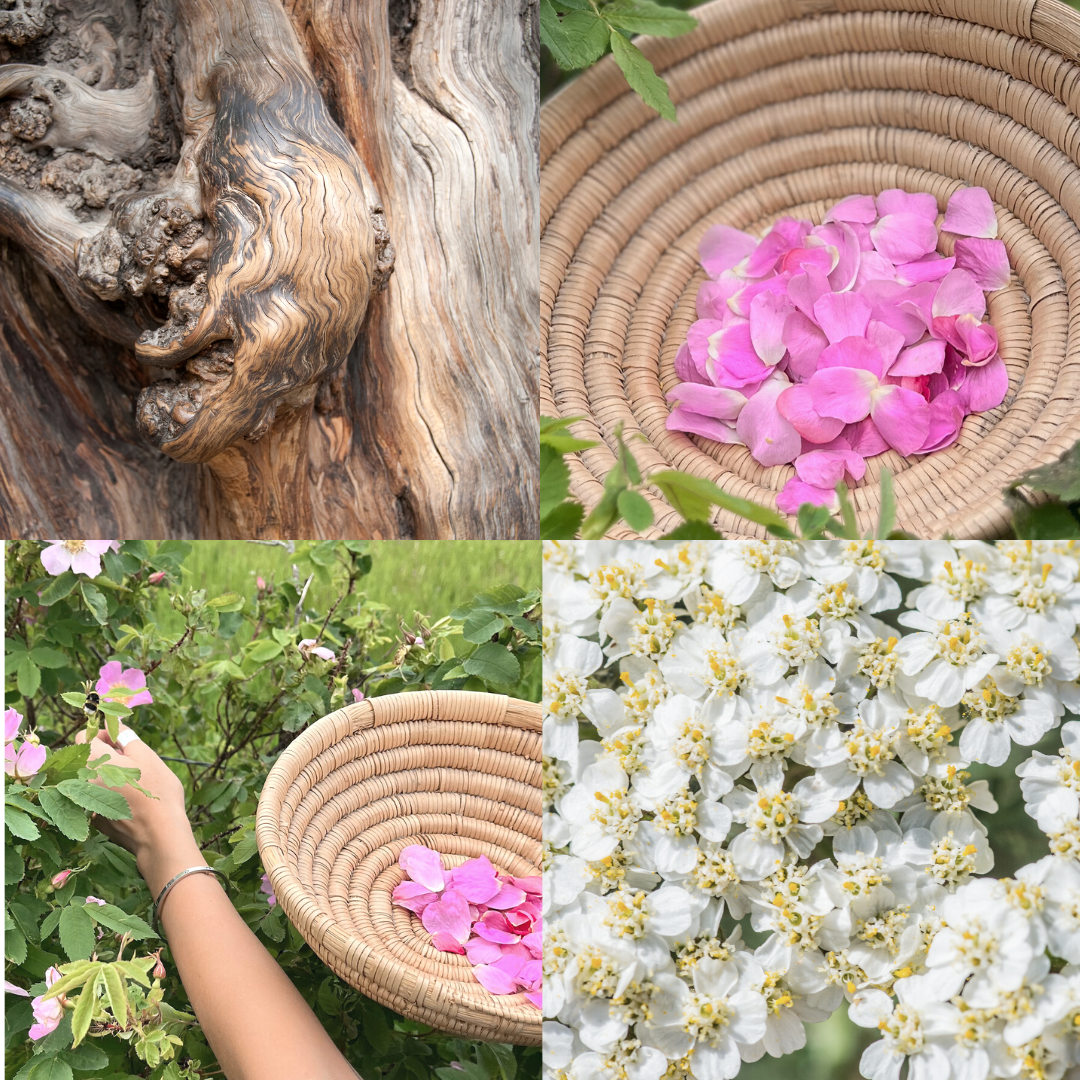 wildflowers scented candle vibe