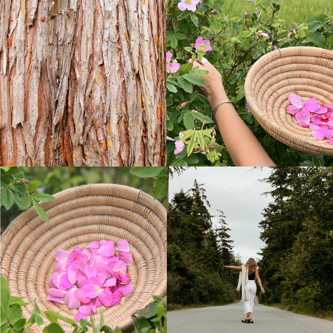 Natural Perfume - Rose & Cedar