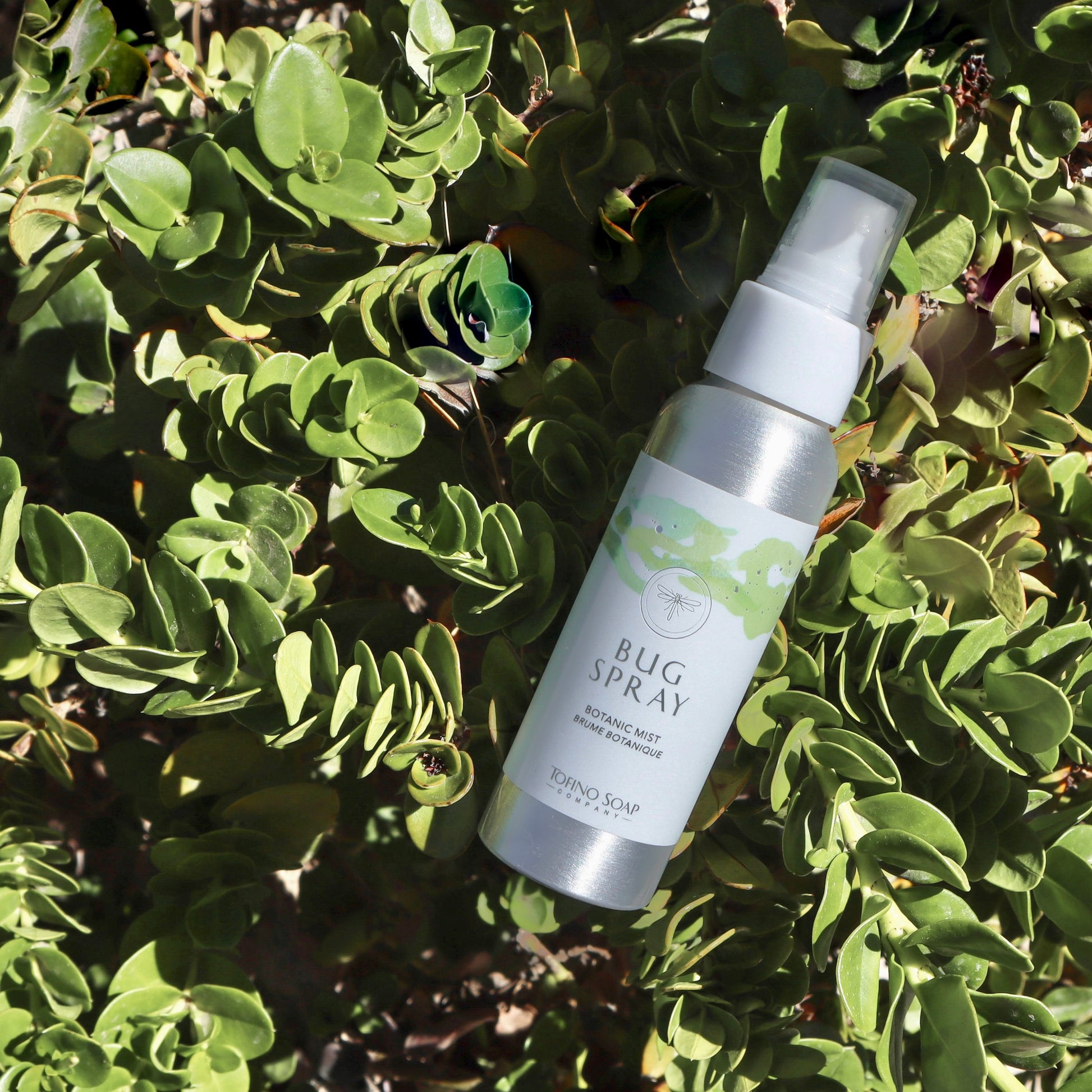 Tofino Soap Company natural soap, candles and skincare crafted with wild-foraged island botanicals