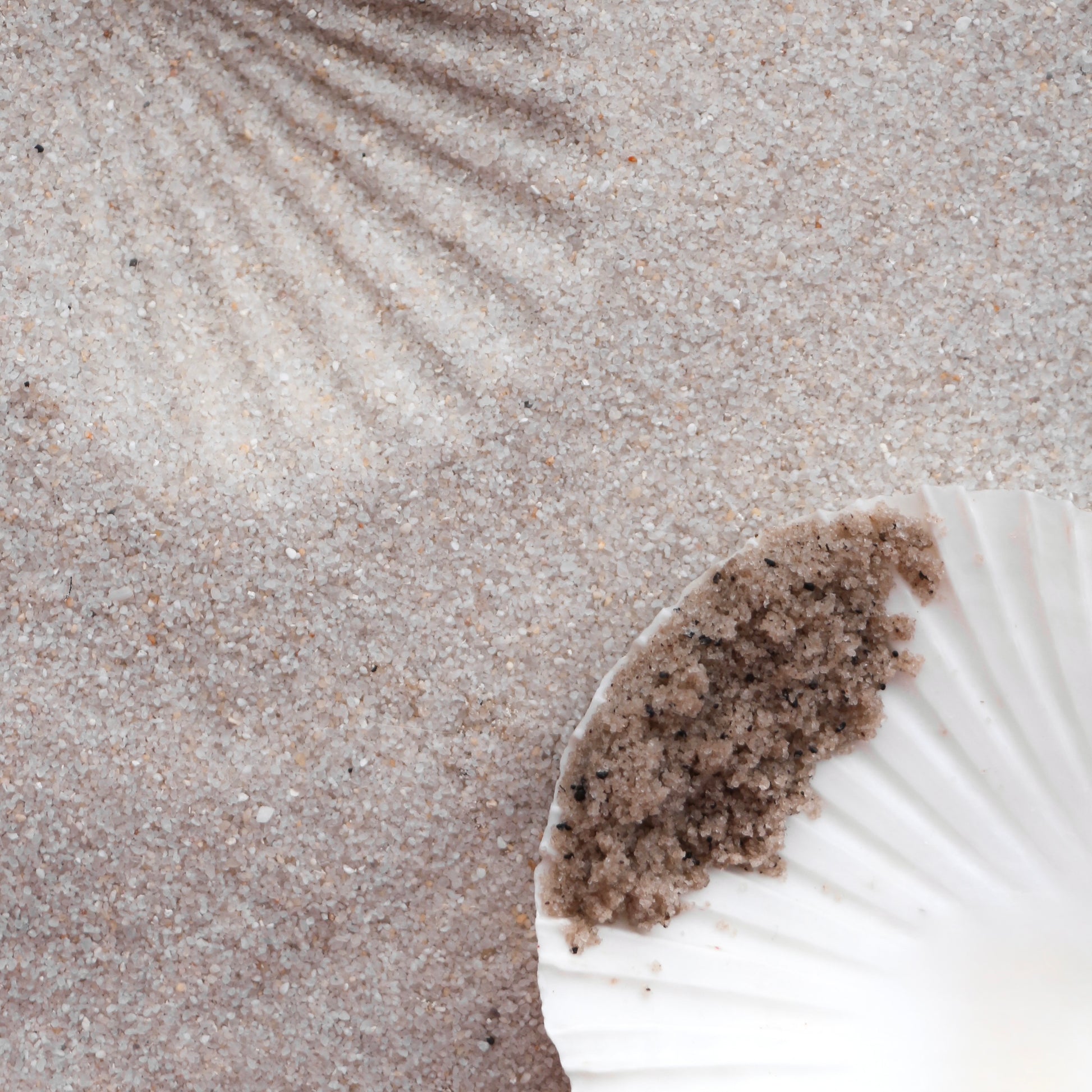 Tofino Beach Collection natural skincare made with Vancouver Island sea botanicals and organic ingredients
