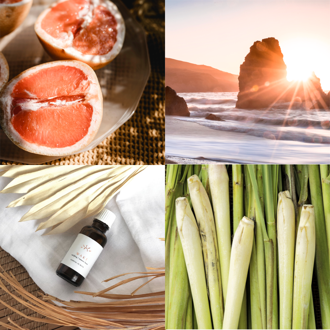 Sustainable luxury skincare and candles by Tofino Soap Company, original Vancouver Island soap artisan