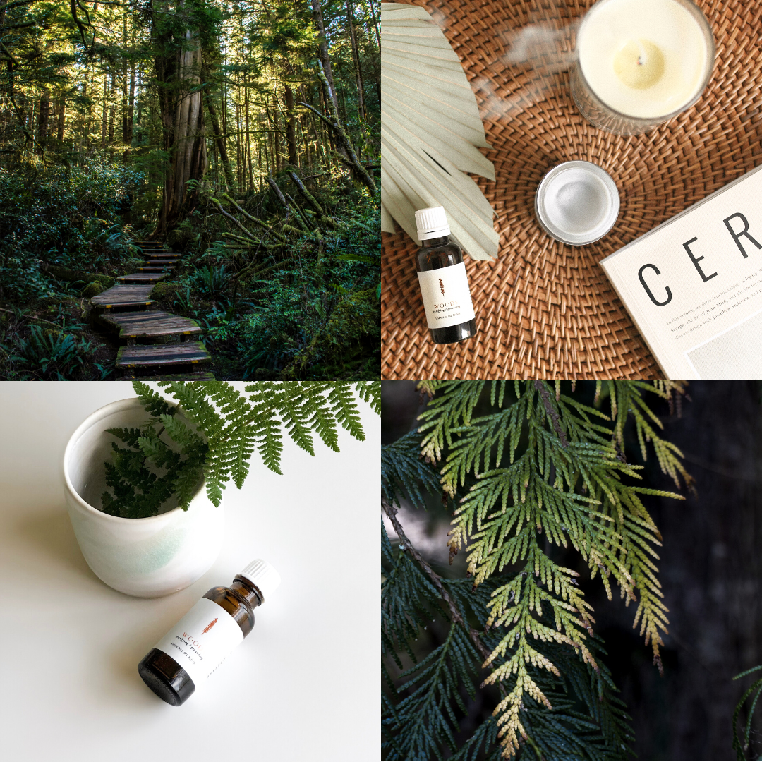 Sustainable luxury skincare and candles by Tofino Soap Company, original Vancouver Island soap artisan