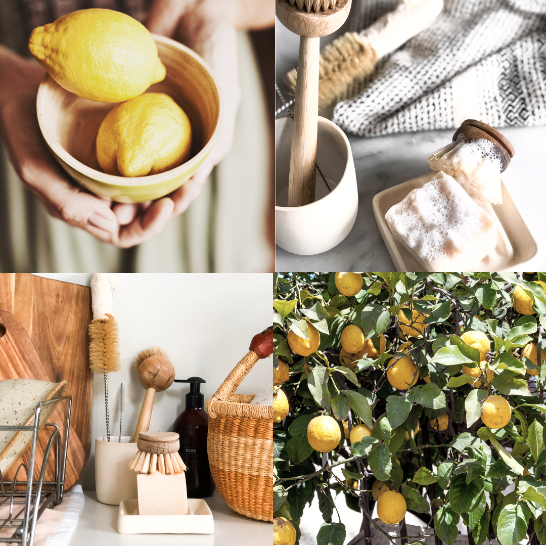 Sustainable luxury skincare and candles by Tofino Soap Company, original Vancouver Island soap artisan