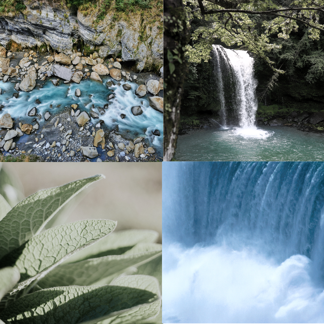 Sustainable luxury skincare and candles by Tofino Soap Company, original Vancouver Island soap artisan