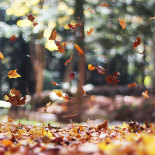 Simple Ways To Relax This Fall