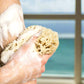 organic botanical body wash 