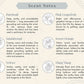 An informational scent notes graphic with a cream background, decorative border, and a gray title banner reading 'Scent Notes.' Six pairs of illustrated icons and text describe fragrance notes: Patchouli, Pink Grapefruit, Sandalwood, Sweet Orange, Vetiver, and Yang Yang.