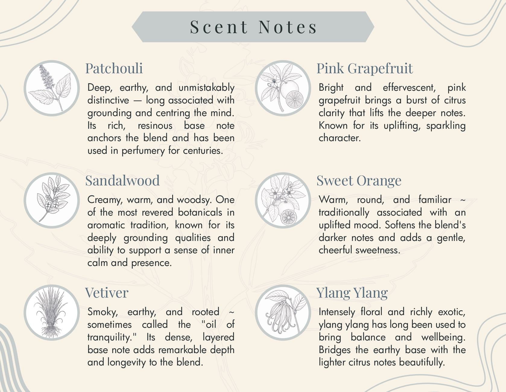 An informational scent notes graphic with a cream background, decorative border, and a gray title banner reading 'Scent Notes.' Six pairs of illustrated icons and text describe fragrance notes: Patchouli, Pink Grapefruit, Sandalwood, Sweet Orange, Vetiver, and Yang Yang.