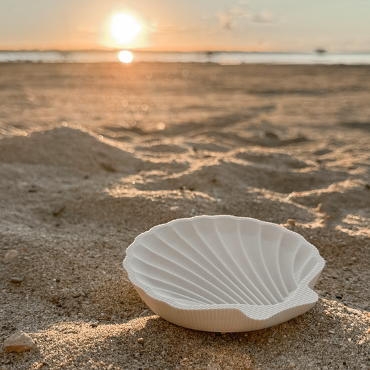 Shell Dish