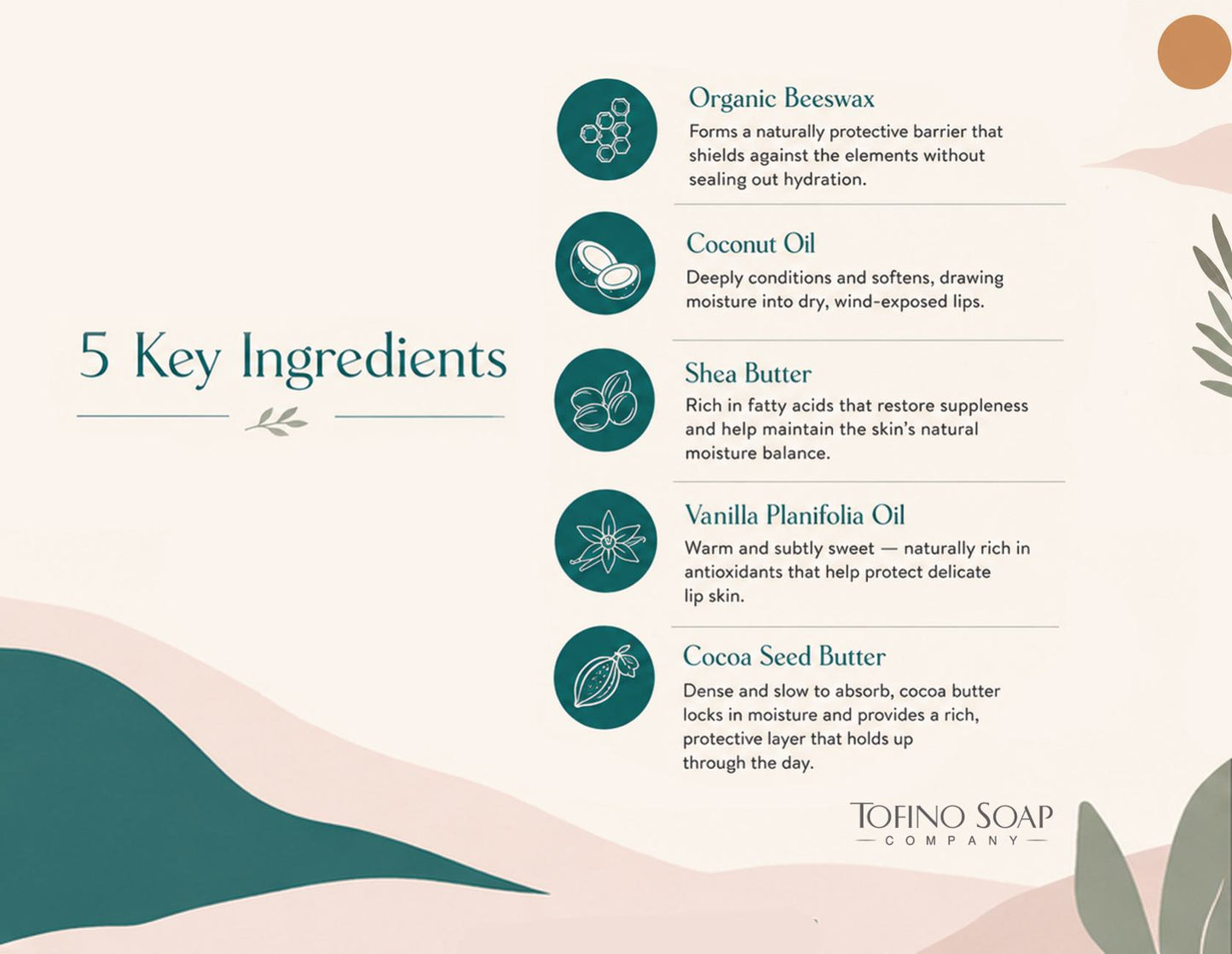 An informational graphic for Tofino Soap Company detailing the '5 Key Ingredients' of their moisturizing cream. The graphic features a clean, minimalist design with a warm cream background, dark teal abstract shapes, and a list of ingredients: Organic Beeswax, Coconut Oil, Shea Butter, Vanilla Planifolia Oil, and Cocoa Seed Butter, each with a corresponding teal icon.