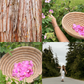 Tofino Soap Company natural perfumes, candles and skincare crafted with wild-foraged island botanicals