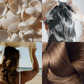 Sustainable luxury Haircare by Tofino Soap Company, original Vancouver Island apothecary artisan