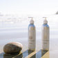 Organic | Botanical Shampoo - Tofino Soap Company ®