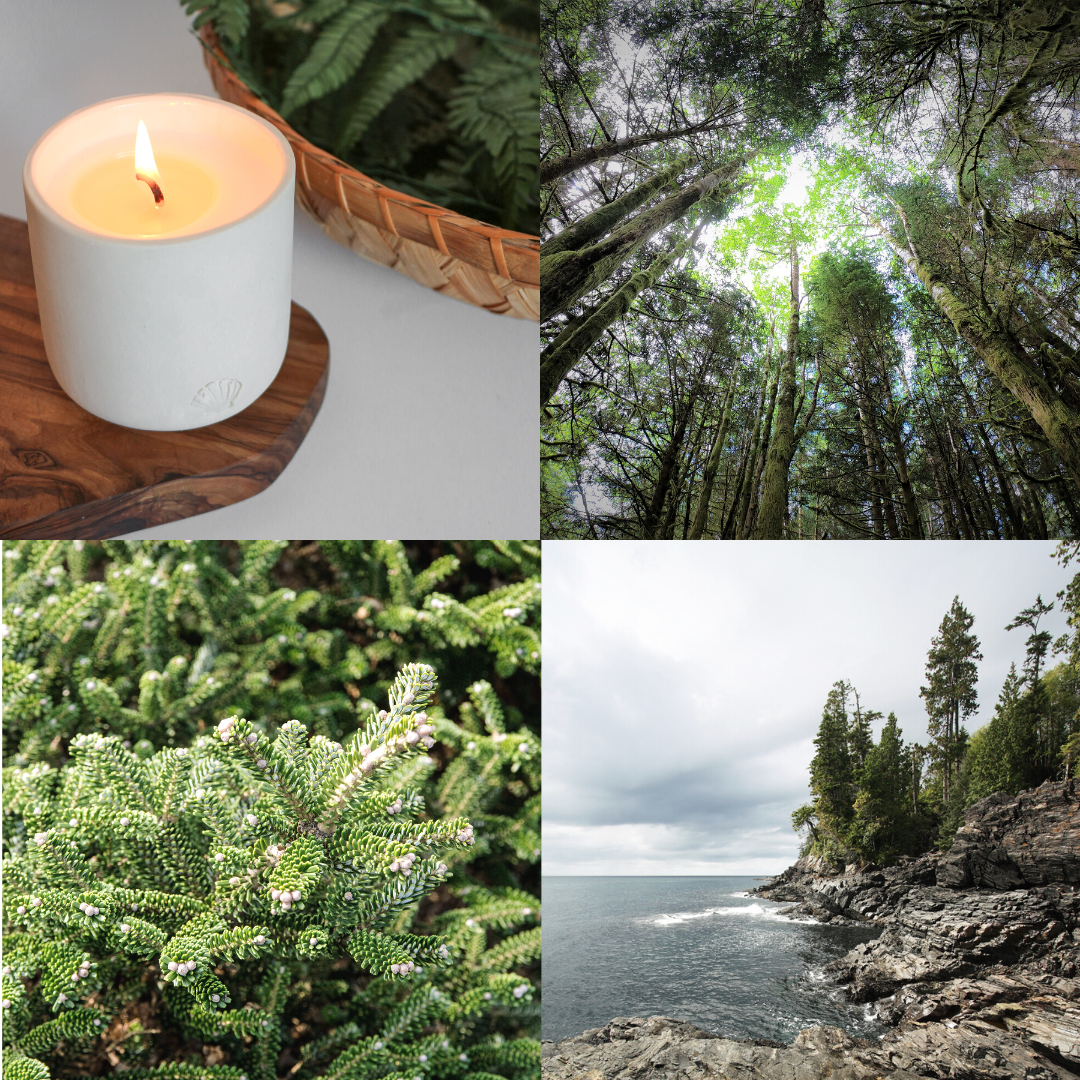 Cedar, Pine, Sage scented candle inspiration. Made in British Columbia