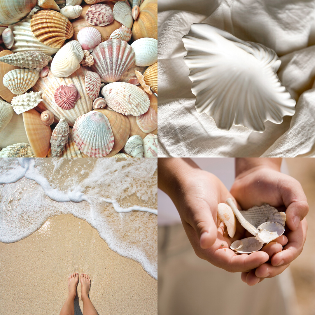 Ceramic Seashell