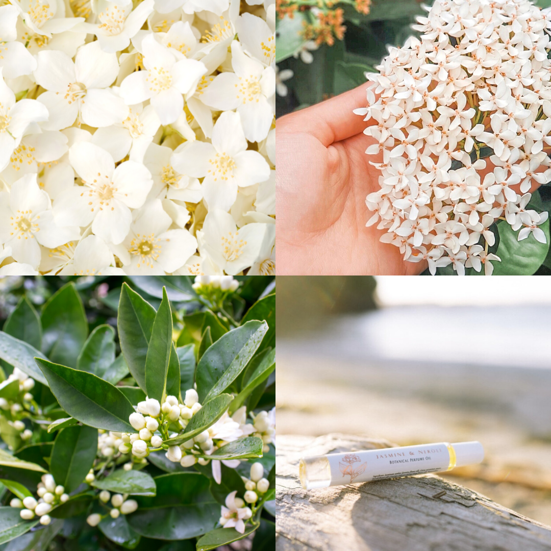 Jasmine & Neroli | Natural Perfume