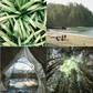 Natural botanical bug spray mist by Tofino Soap Company